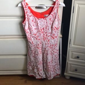 Dress barn Lace Dress Size 8